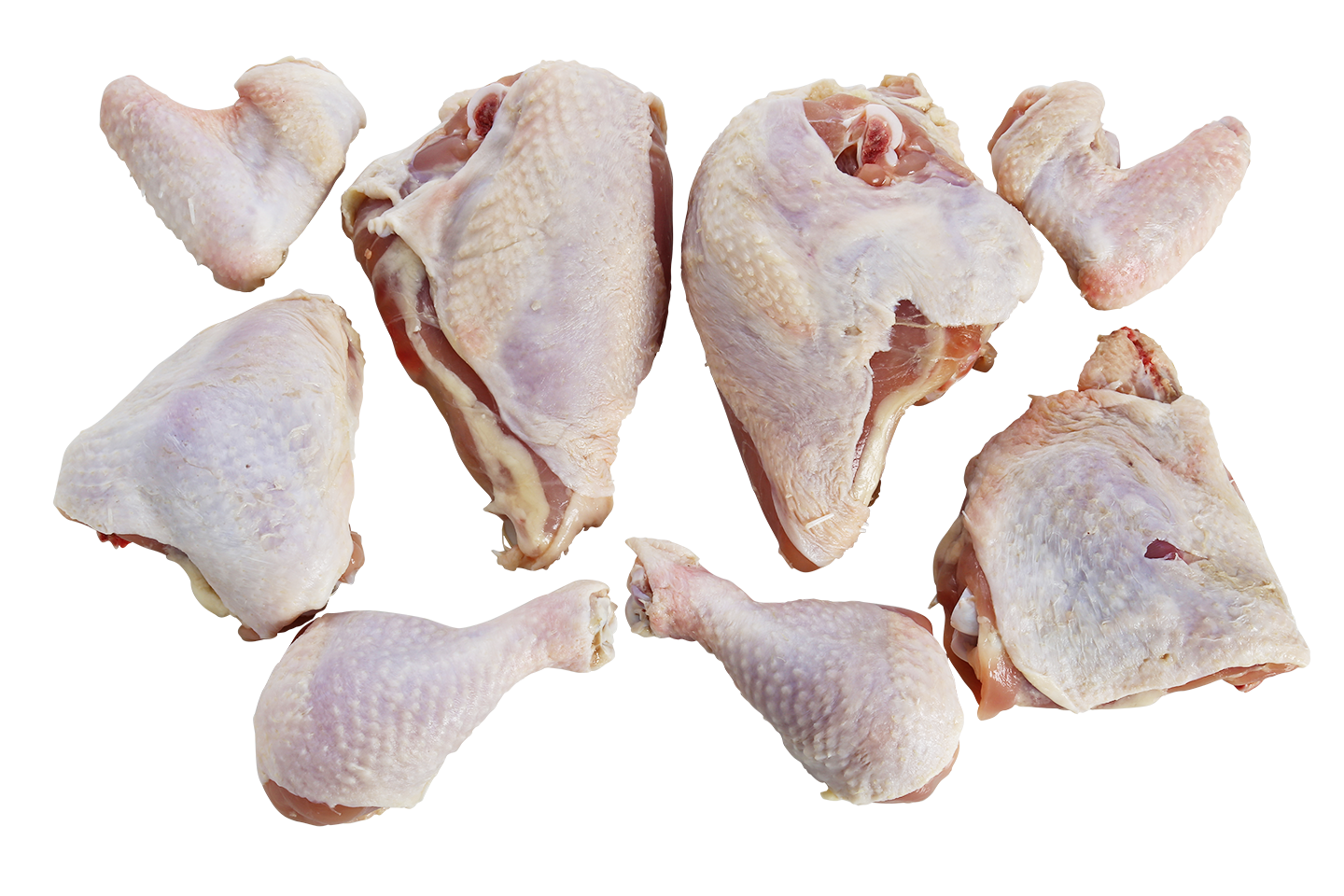 uncooked chicken, a canvas for culinary creativity. Our 8pc cut chicken exudes freshness, its pale pink hue and firm texture promising a versatile foundation for your kitchen endeavors. Immerse yourself in the potential of flavors waiting to be unleashed as you prepare and season this pristine protein. From the simplicity of a delicate marinade to the complexity of gourmet recipes, our raw chicken invites you to embark on a culinary journey, ensuring a wholesome and satisfying dining experience