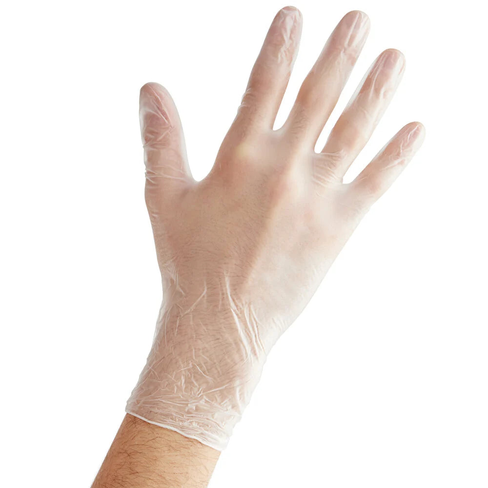 FoodGuard vinylPowder Free Gloves (LG)