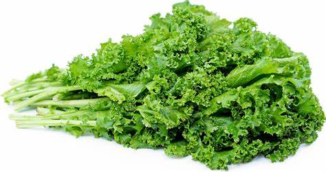 Mustard Greens - Case ( 24 Bunches)