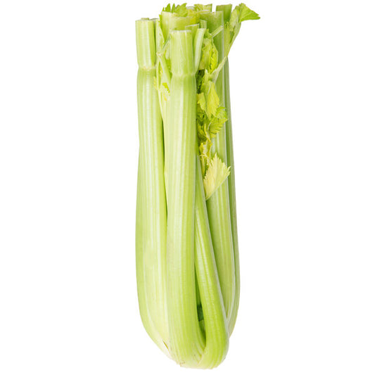 These fresh, crisp stalks of celery are prepared to be washed and cut according to your needs. They are ideal for hotwings, eating raw as a snack or in a nutritious celery juice, and for cooking into savory stocks and stews. As a food low in calories, celery is also known for its health benefits, such as being rich in antioxidants and supporting digestion. packed with fiber and minerals, offering a healthful addition to your menu.