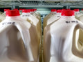 Milk is a great source of vitamins A and D as well as calcium—all nutrients that aid in bone health. Our farmers have pledged to not treat any of their cows with artificial growth hormone.* This pasteurized, homogenized whole milk makes a refreshing drink but also makes your cereals, oatmeal and eggs taste even better. It's consistently fresh and delicious.